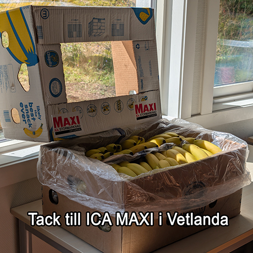 Lagerbild 2 från diabeteslägret